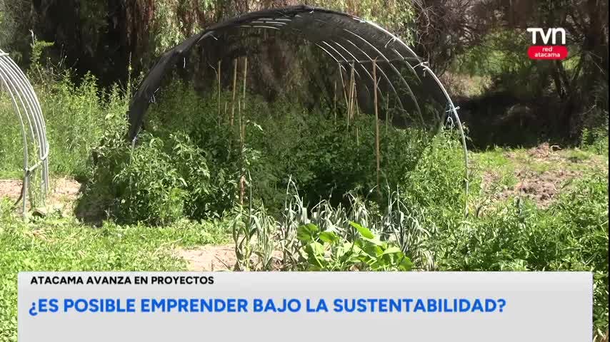Emprendimientos sustentables