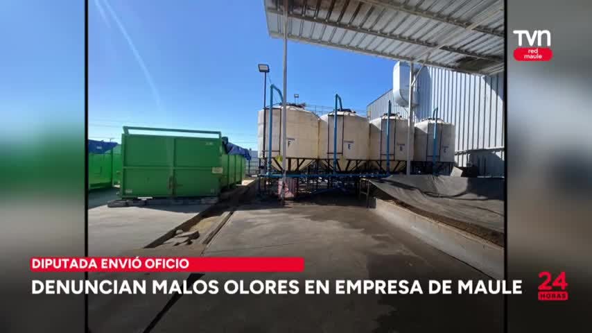 Denuncian malos olores en empresa de Maule