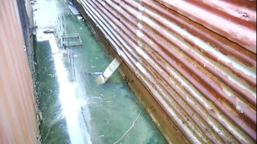 Denuncian colapso sanitario