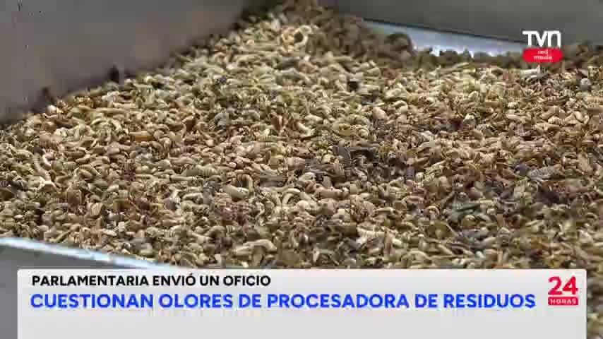 Cuestionan olores de procesadora de residuos