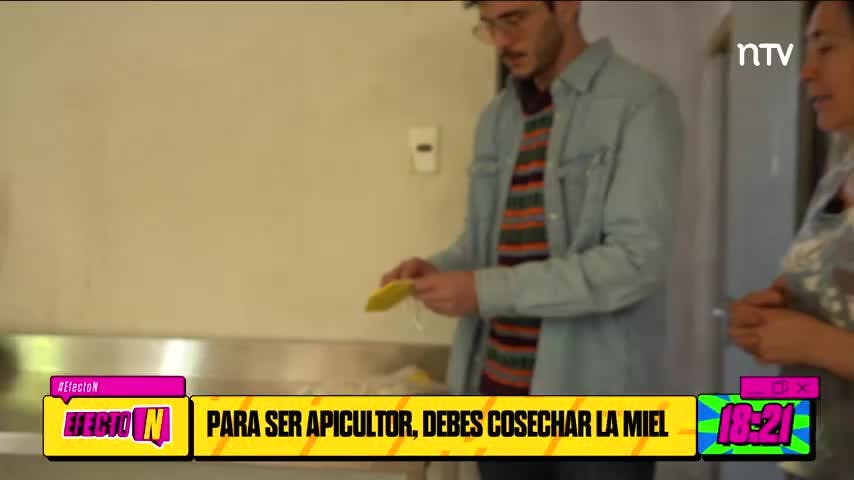 ¡Fui Apicultor por un Día! La Experiencia de Julio Robert