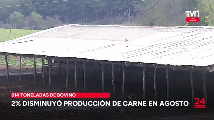 2% disminuyó en agosto la producción de carne