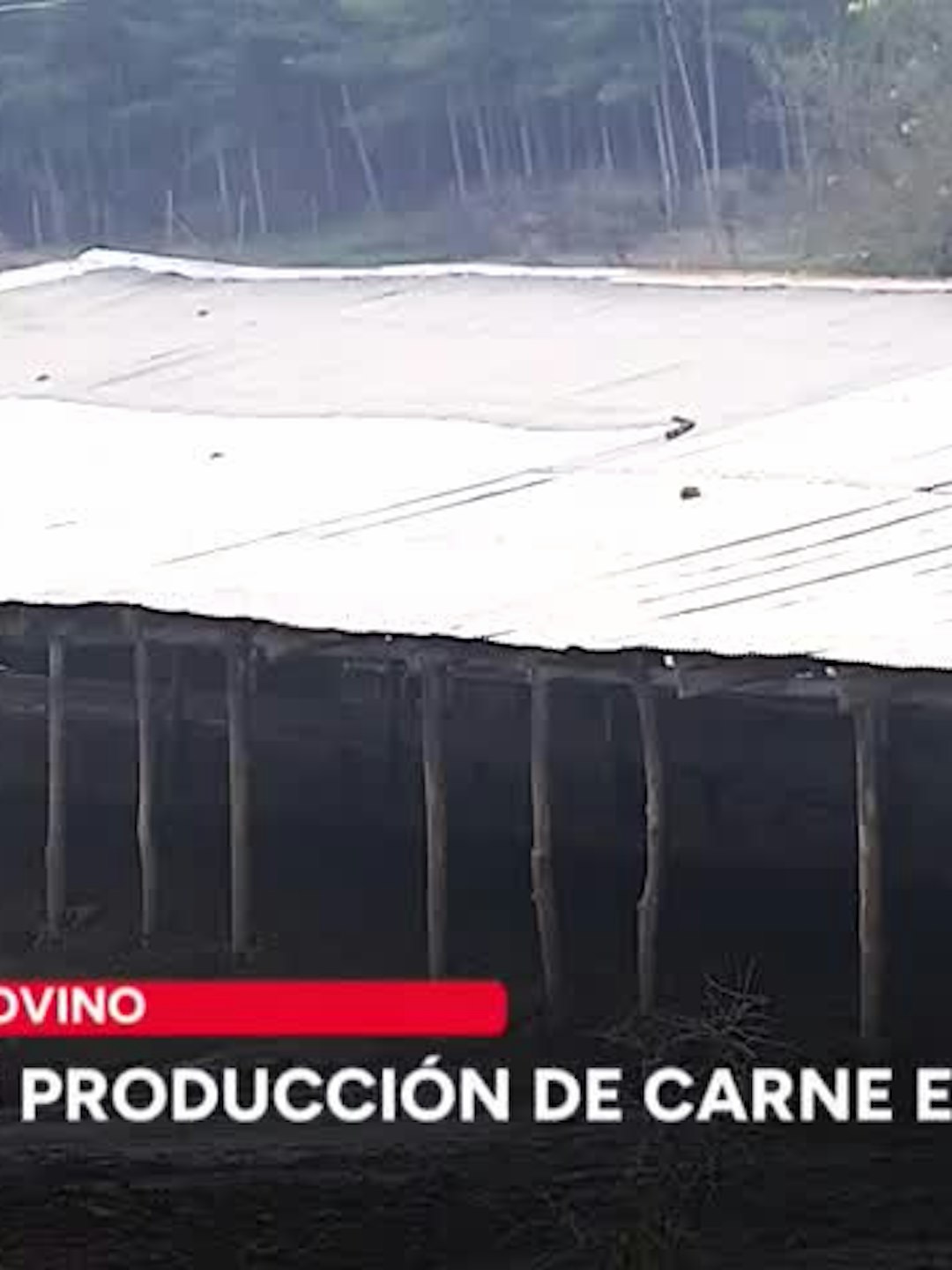 2% disminuyó en agosto la producción de carne