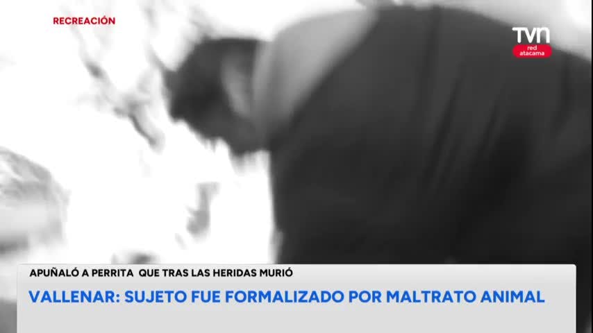 Formalizan a sujeto que apuñaló a perrita