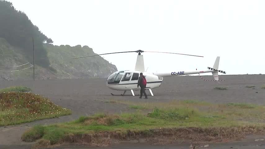 Denuncian vuelo a baja altura en lobería y aterrizó en playa y humedal