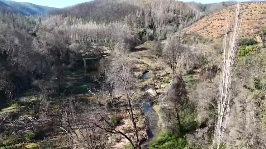Identifican más de 1.500 especies en corredor biológico Pitao