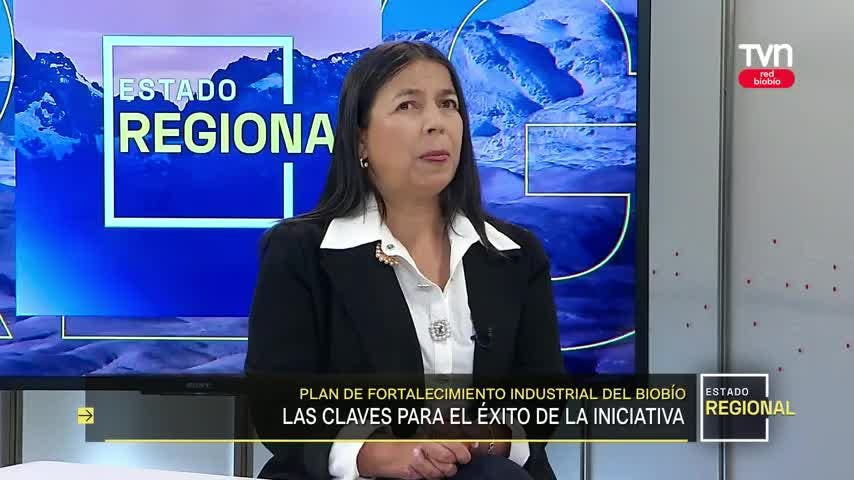 Carolina Parada, gerente general de Irade: “Hay cierta tibieza en la autoridad a empujar proyectos de inversión”