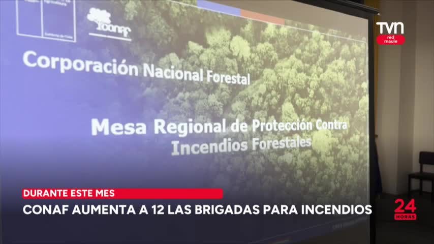 Conaf aumenta a 12 las brigadas para incendios