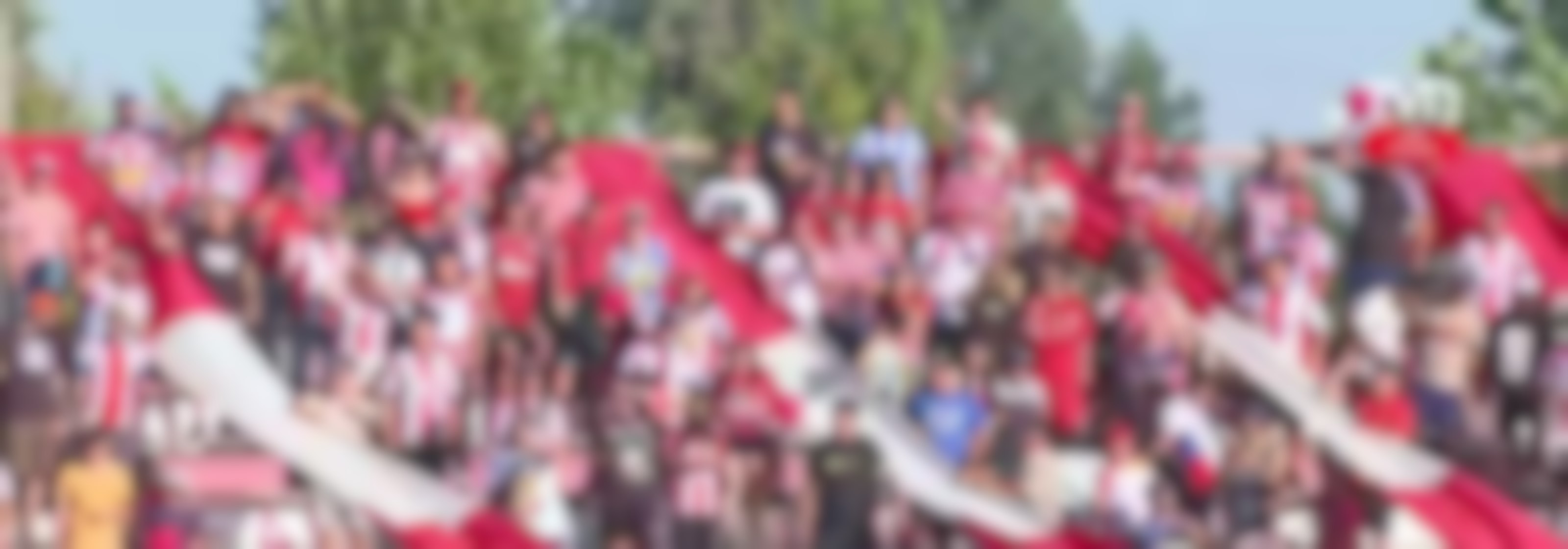 Futbol profesional entra en fecha decisiva