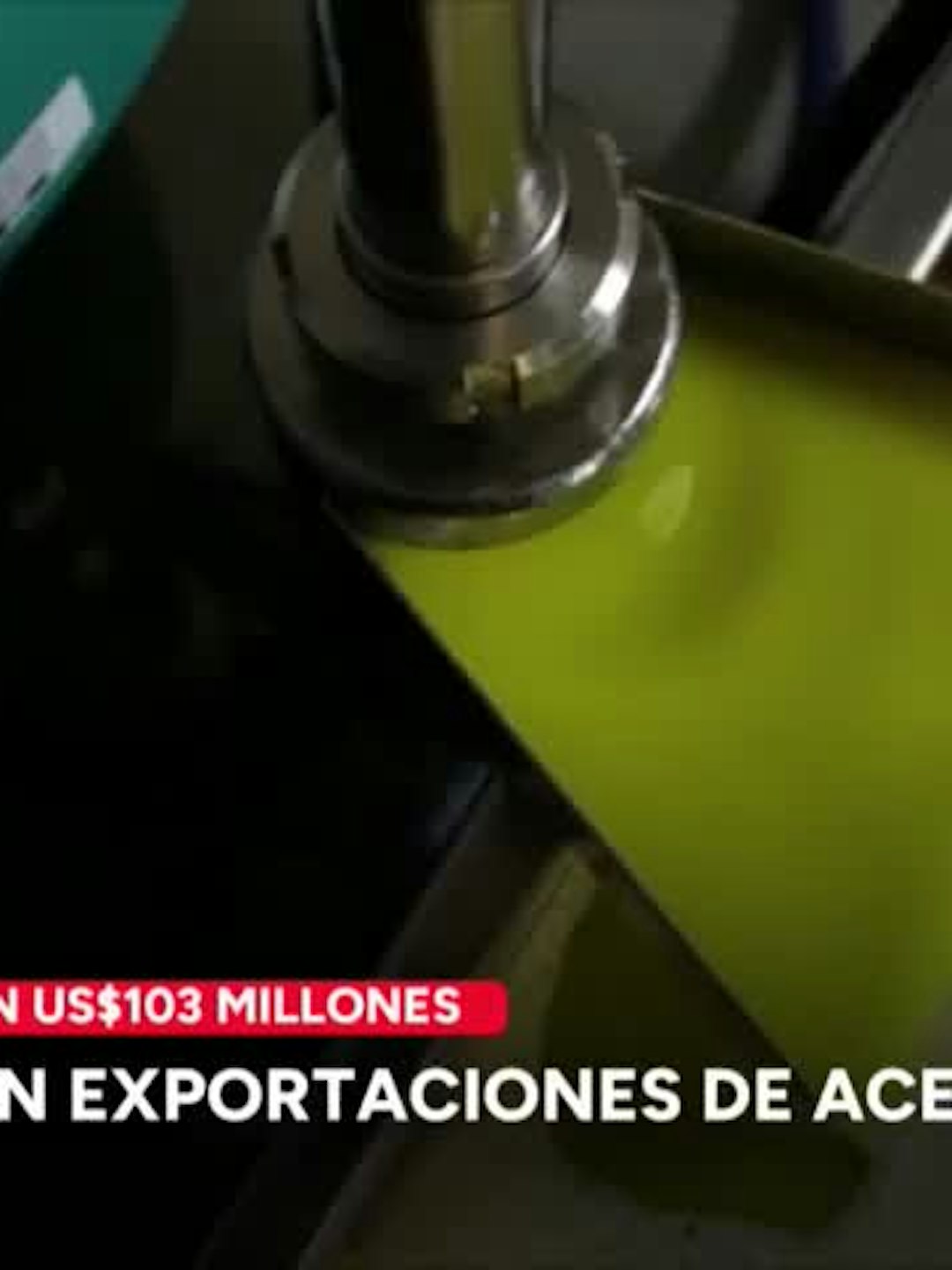 26% crecieron exportaciones de aceite de oliva