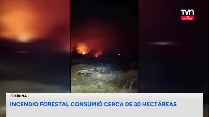 Incendio forestal consumió casi 30 hectáreas