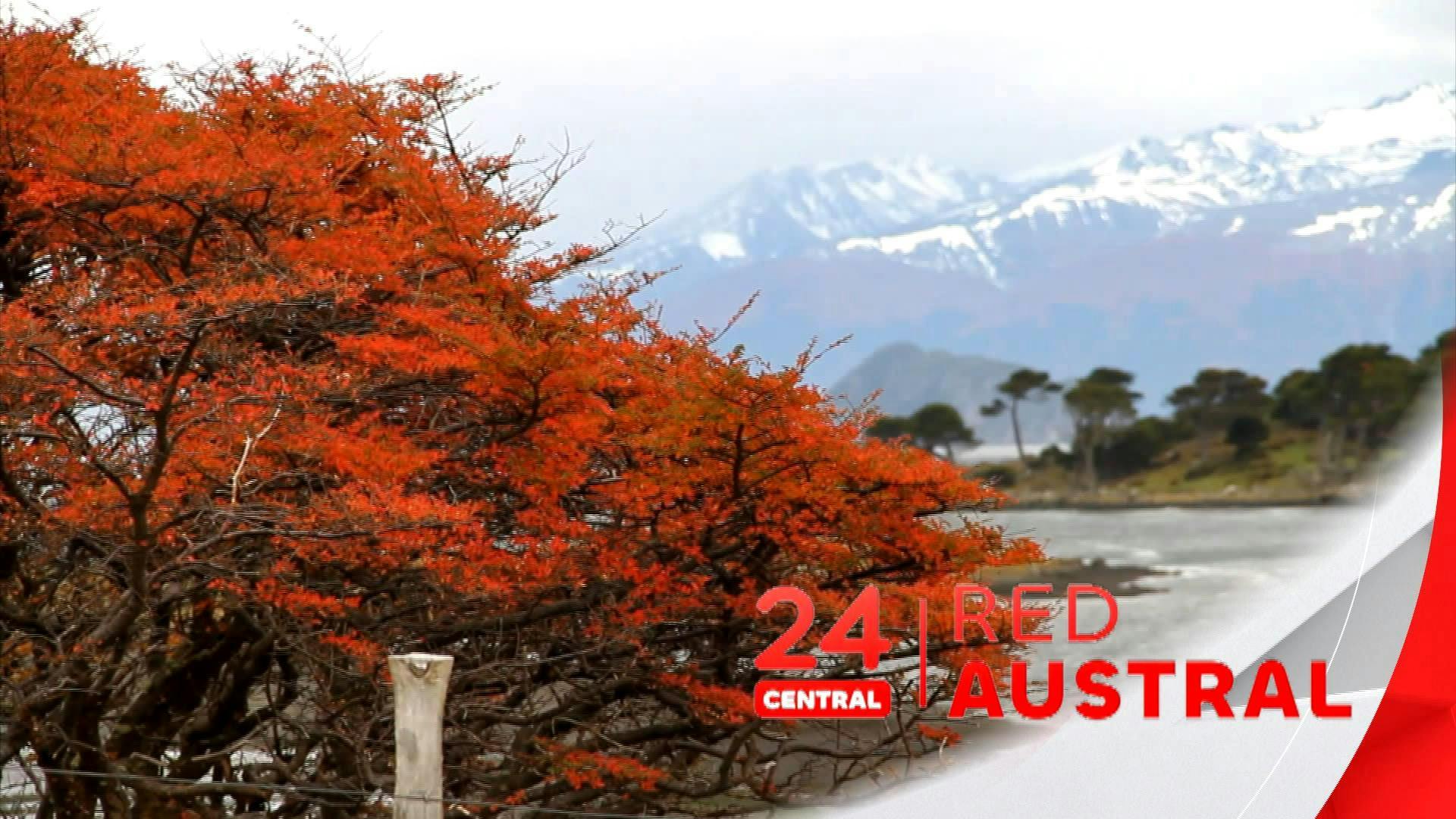 Noticiero 24 horas Red Austral