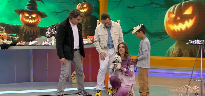 Seba Jiménez nos aconseja cómo cuidar a nuestras mascotas en Halloween 