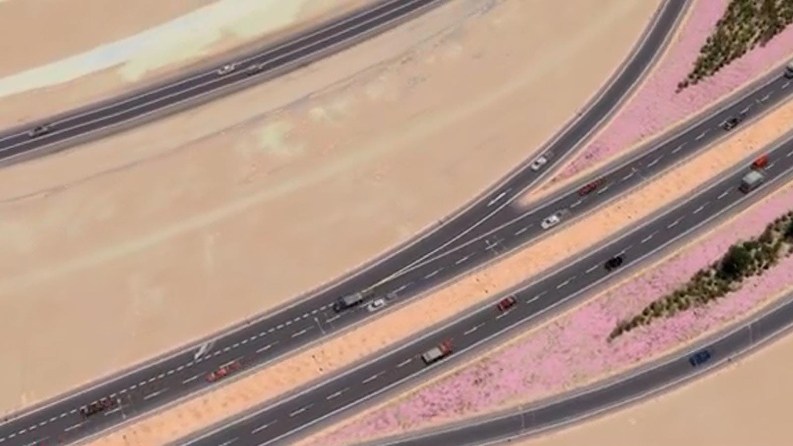 Llamado a licitación para ruta Caldera-Antofagasta 