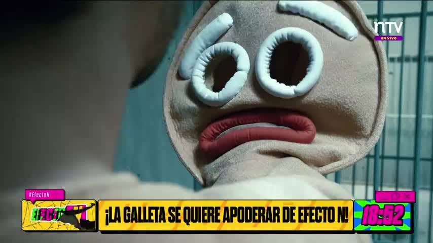 La Casa del Terror de Efecto N 