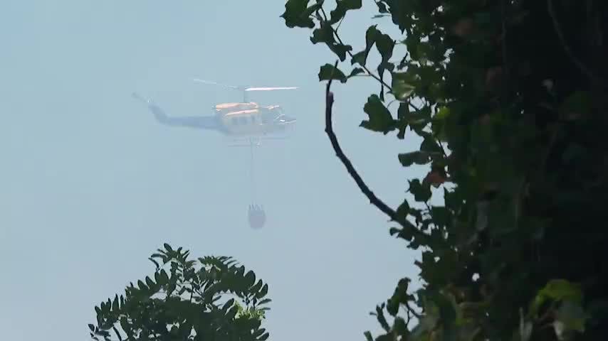 Gobierno reforzará trabajo con municipios por incendios forestales