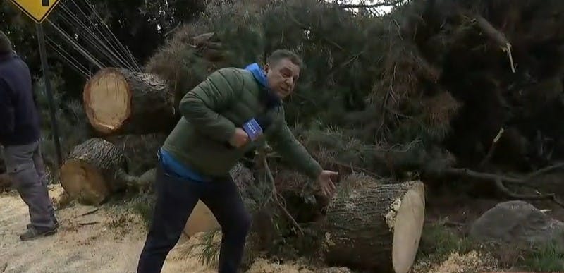 700 casas afectadas por árbol que cayó y botó seis postes en La Reina 
