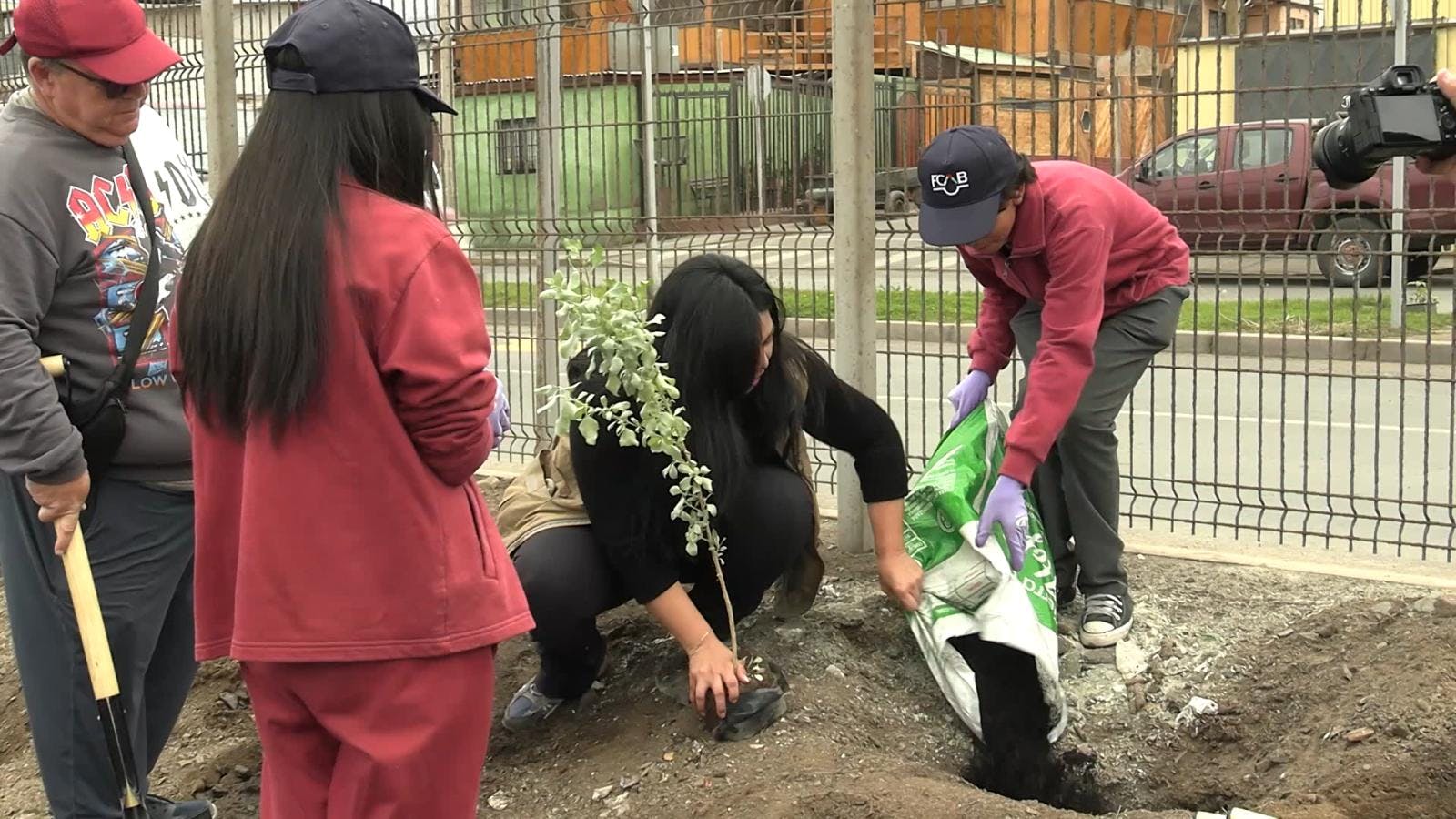 Iniciativa “un niño, un árbol” ha permitido plantar más de 600 especies
