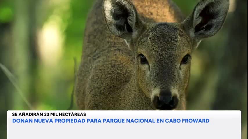  Parque Nacional Cabo Froward