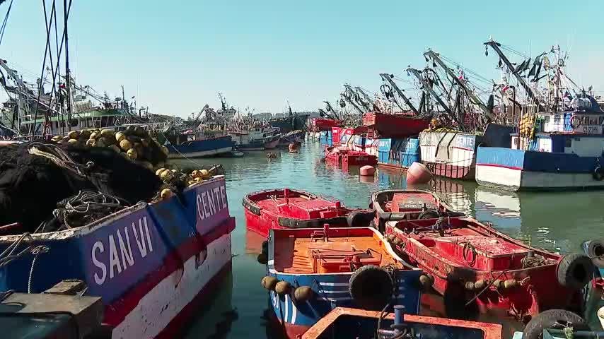 Pescadores industriales protestan por visita de Ministro de Economía