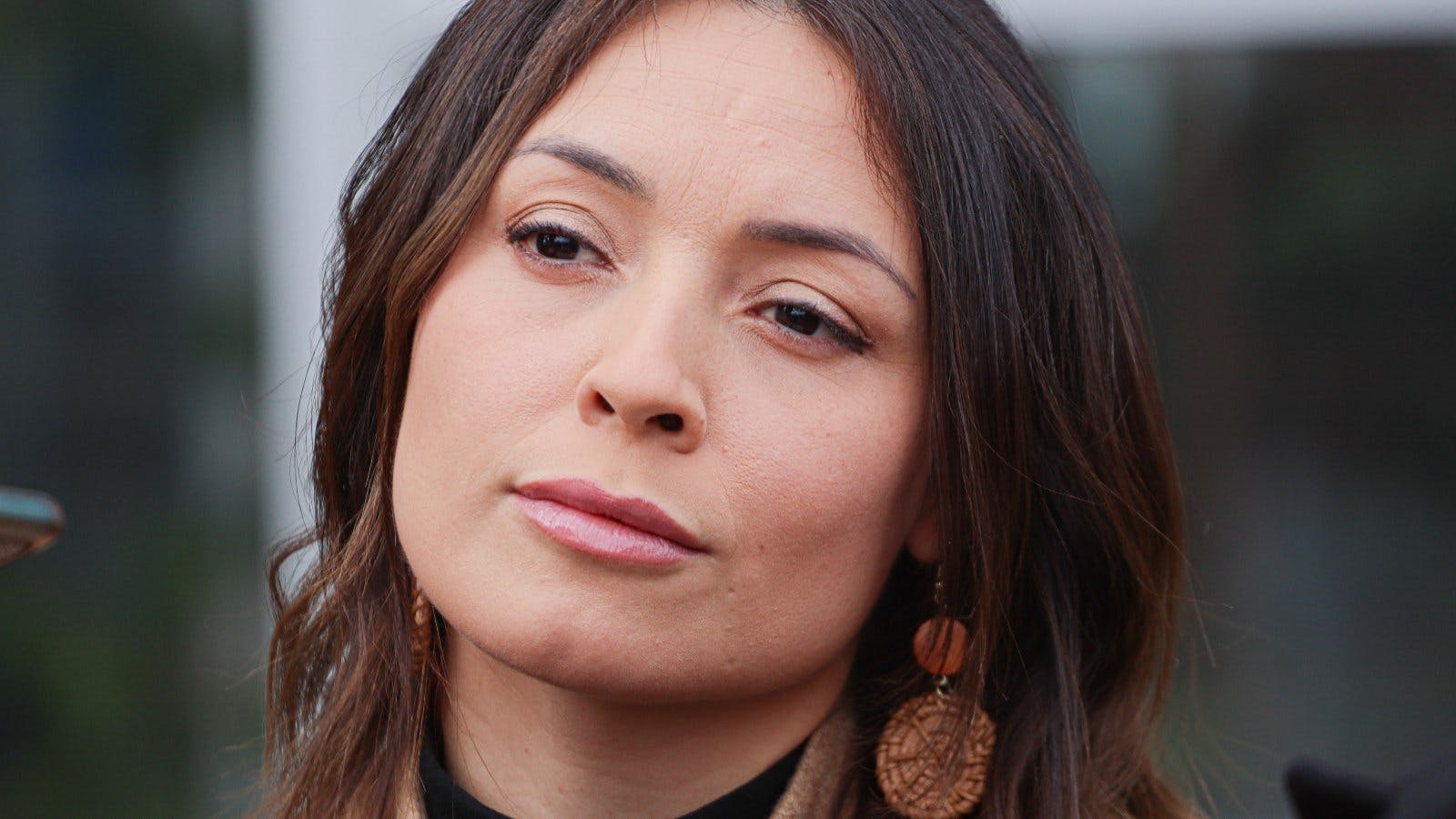 SII tendría en la mira a Camila Polizzi por recibir $168 millones de empresa comprada en Facebook 