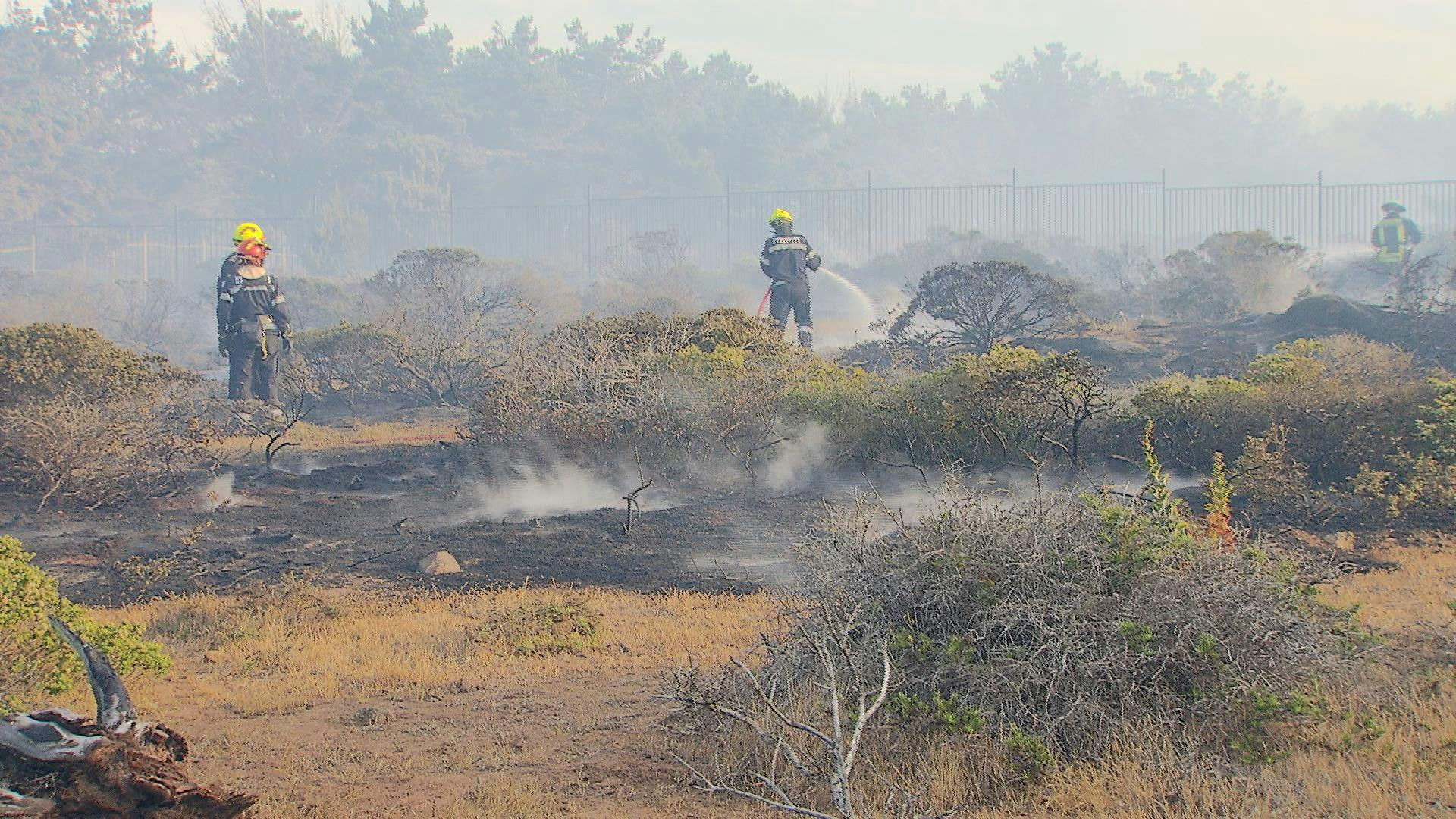 Vecinos de Laguna Verde viven preocupados por emergencias forestales