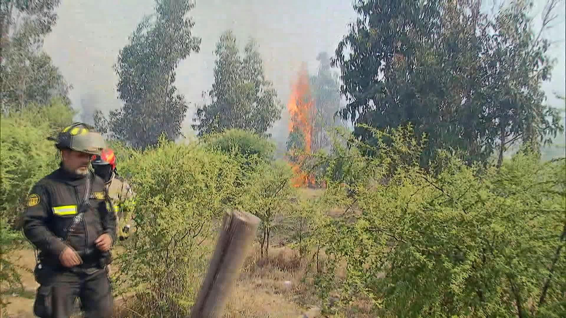 400 hectáreas consumidas dejaron incendios forestales que azotaron nuevamente a la región  