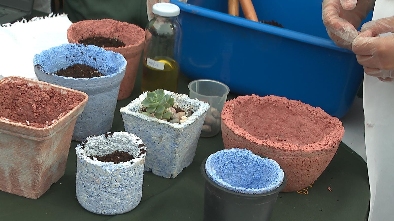 Niños presentaron proyectos medioambientales 