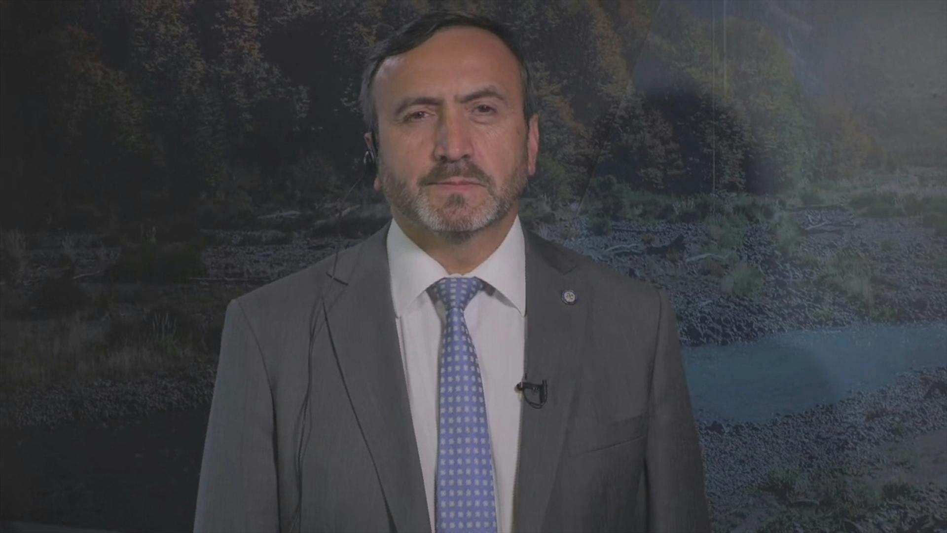 Francisco Pulgar - Diputado Independiente - Viernes 15 de noviembre 2024