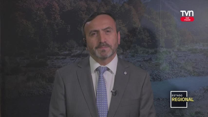 Francisco Pulgar - Diputado Independiente - Viernes 15 de noviembre 2024