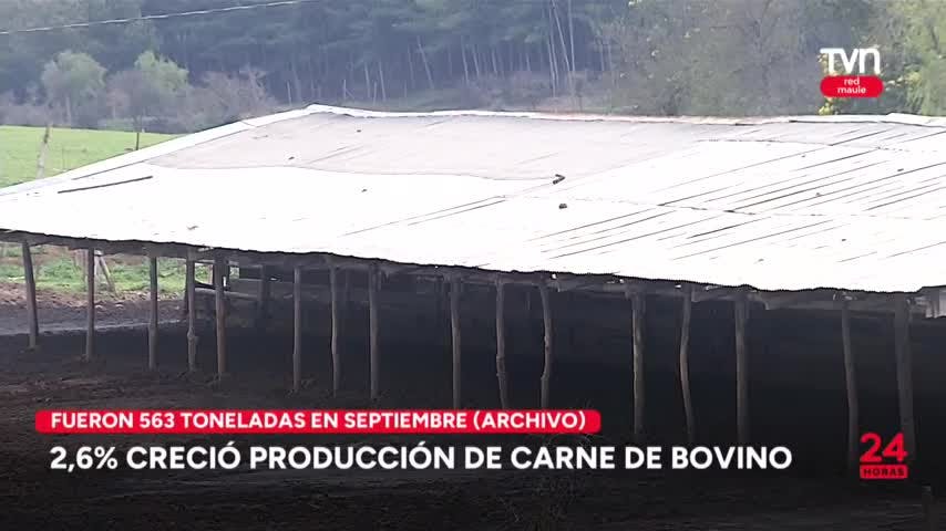 2,6% creció producción de carne de bovino