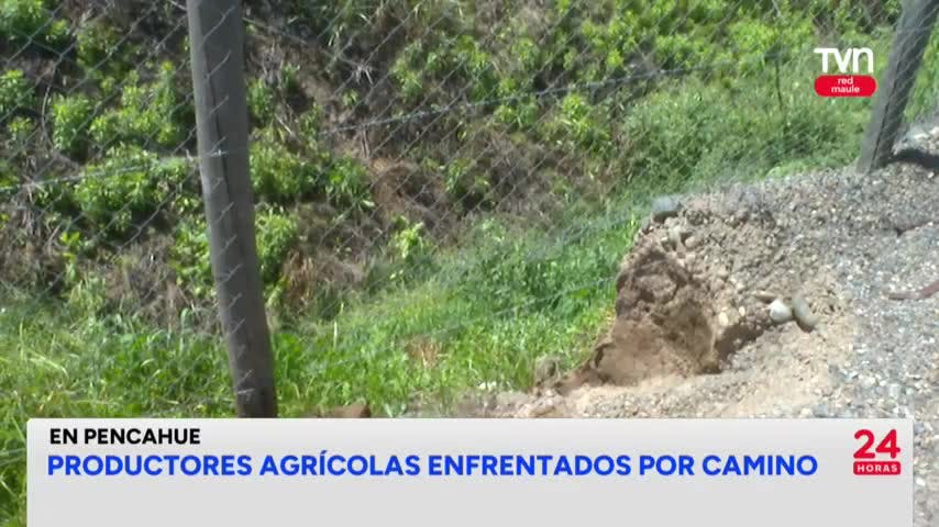 Productores agrícolas están enfrentados por camino