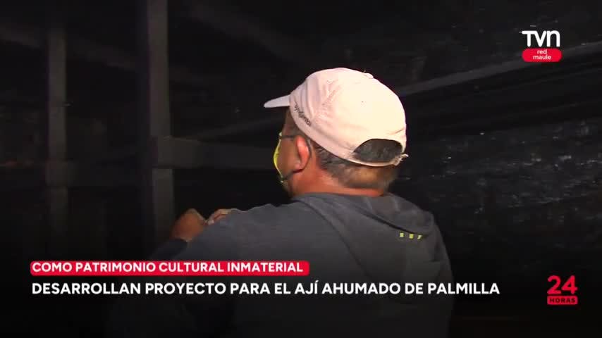Desarrollan proyecto para el ají ahumado de Palmilla