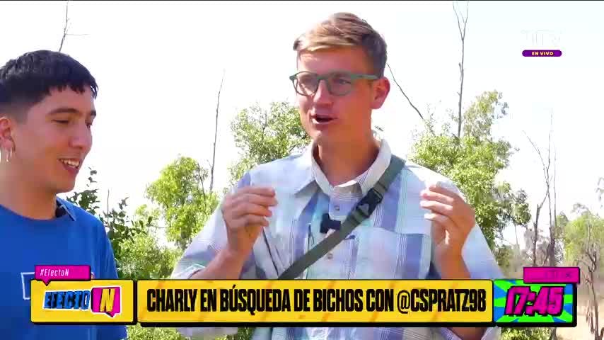 Charly y Cristóbal Sprätz en búsqueda de bichos 