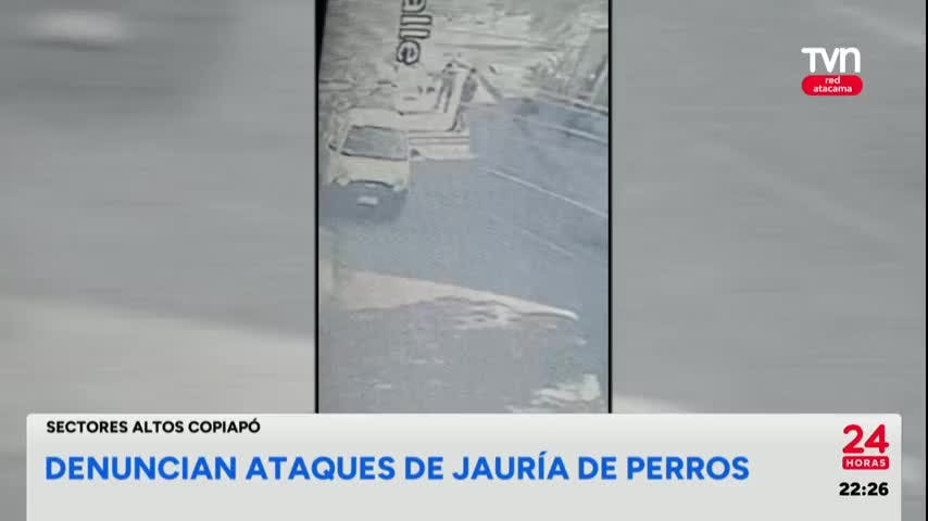 24 Horas Central Red Atacama - 26 de Noviembre 2024