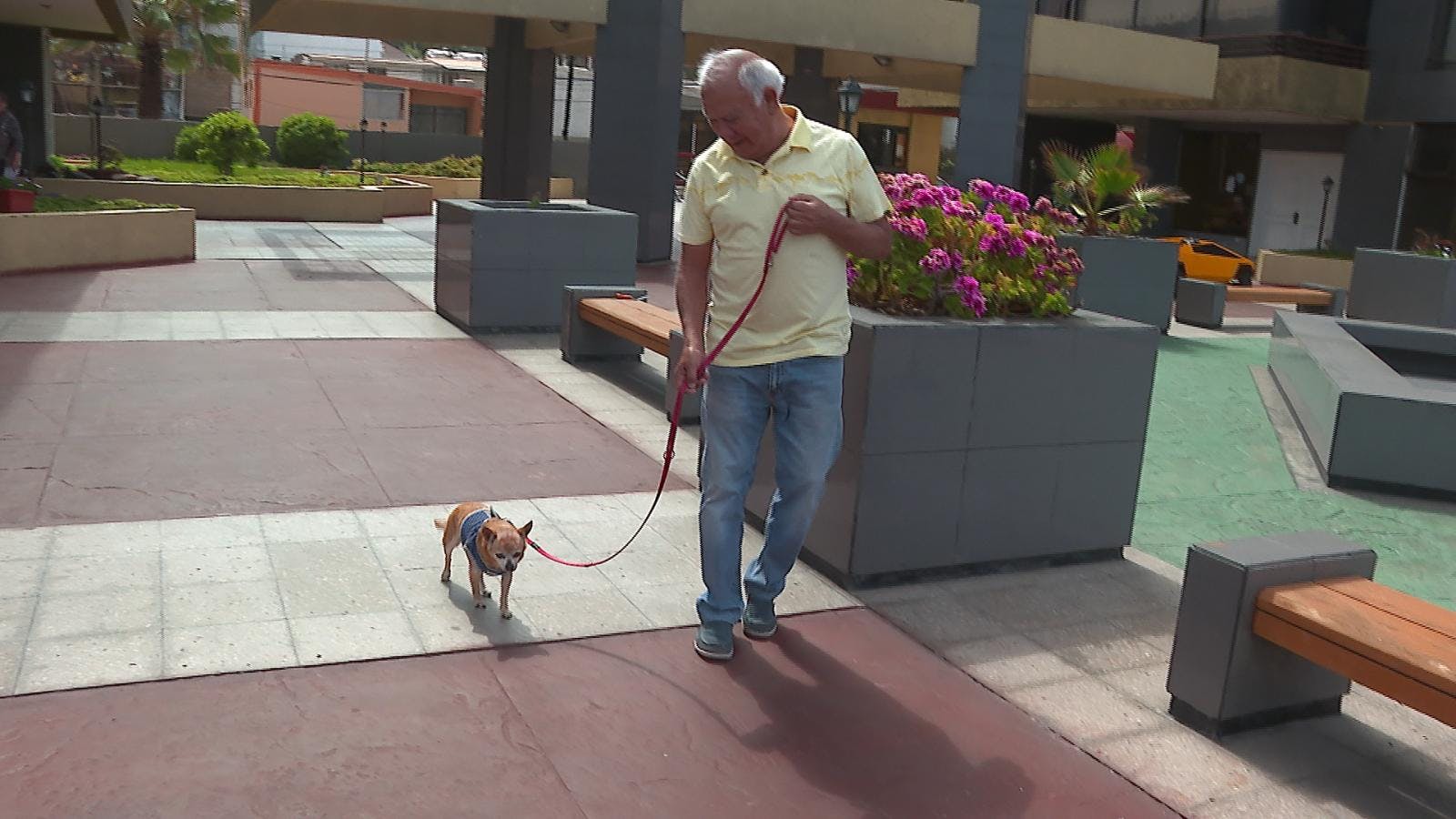 Residente de un edificio pago 12 millones de pesos en multas por  tener mascota en su edificio 