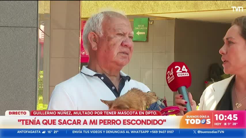 ¿Se puede o no tener mascotas en un departamento?