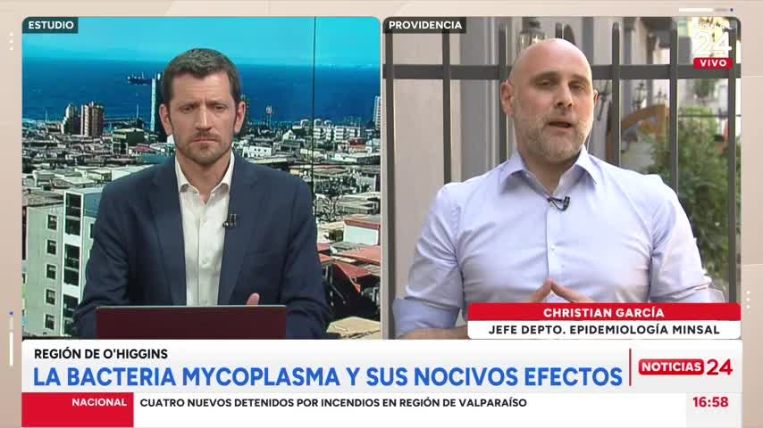 Minsal y muerte de niña por neumonía a causa de Mycoplasma: “Los agentes respiratorios son impredecibles”