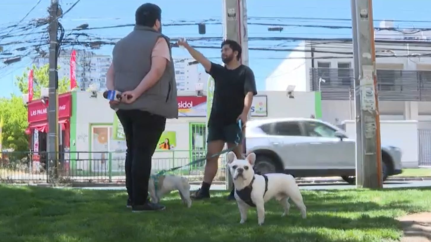 Maldad absoluta: Sacó a pasear a sus perritos y delincuentes le robaron sus mascotas