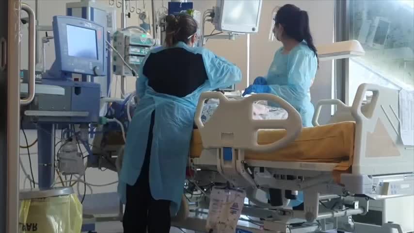 1 fallecido en medio de alza de casos por bacteria mycoplasma