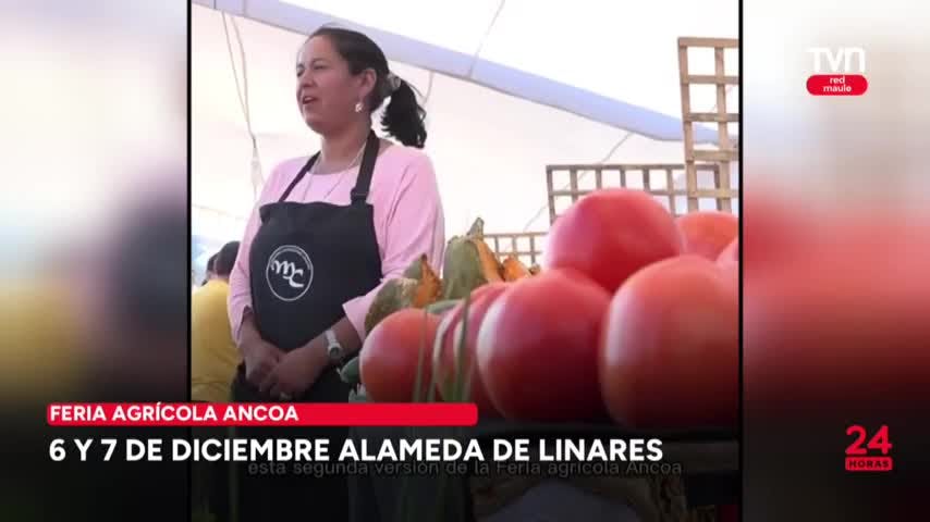 Revisamos parte de los panoramas preparados para este semana 