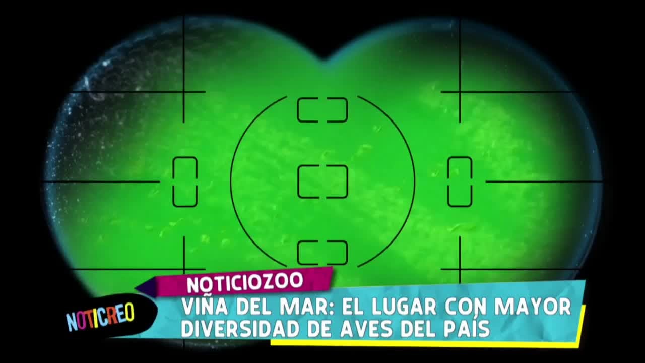 Noticreo - T2E4 