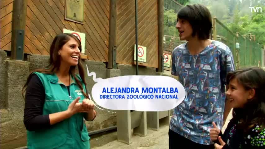 Noticreo - T2E11