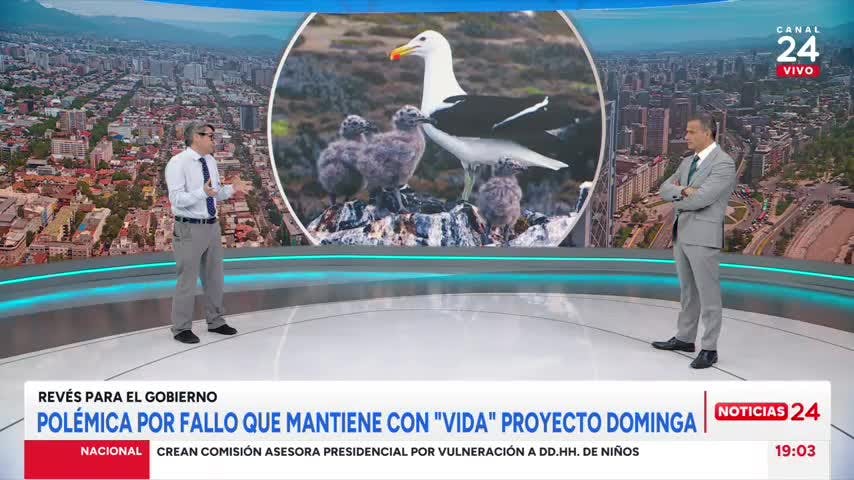 Exministro Mena y fallo que da vida a Dominga: “En 7 años se ha insistido con el mismo proyecto”