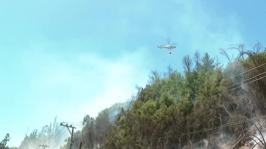 Advierten alto riesgo de incendios forestales en Biobío 