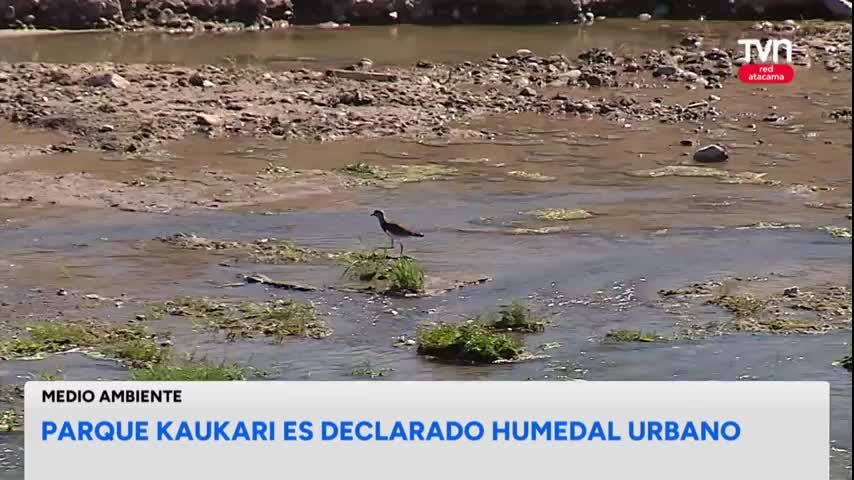 Parque Kaukari es declarado Humedal Urbano