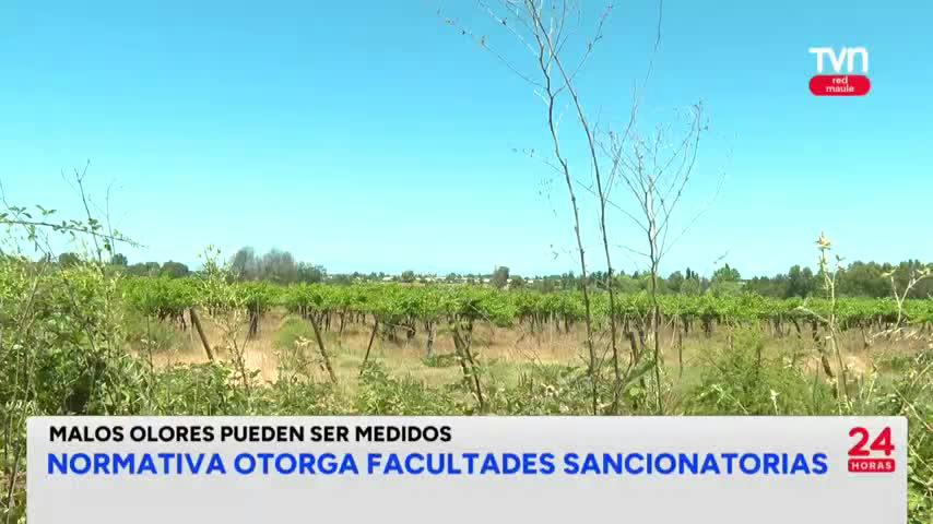 Falta de denuncias impide mayor fiscalización por malos olores