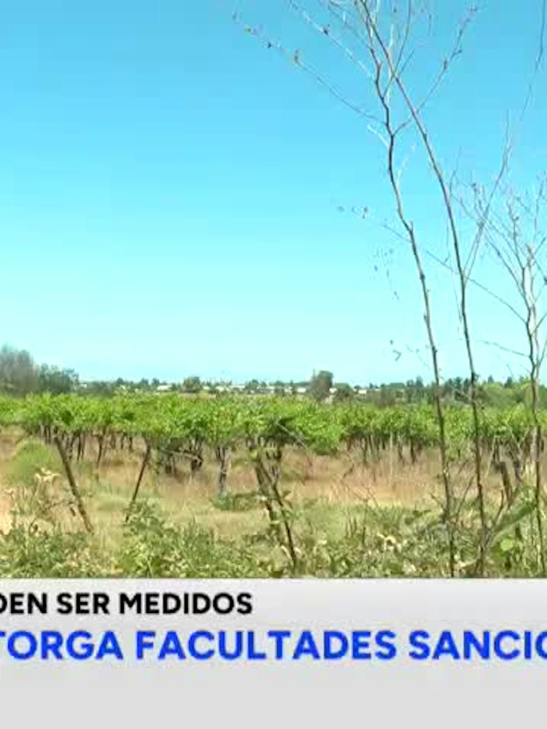 Falta de denuncias impide mayor fiscalización por malos olores