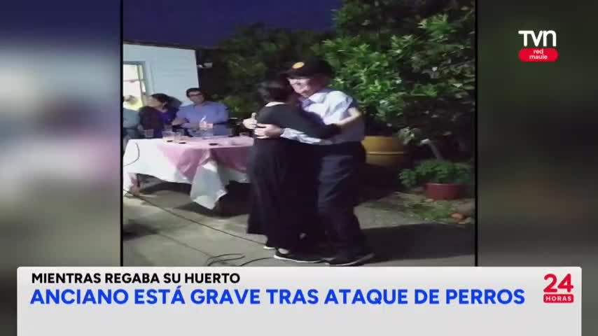 Anciano está grave tras ataque de perros
