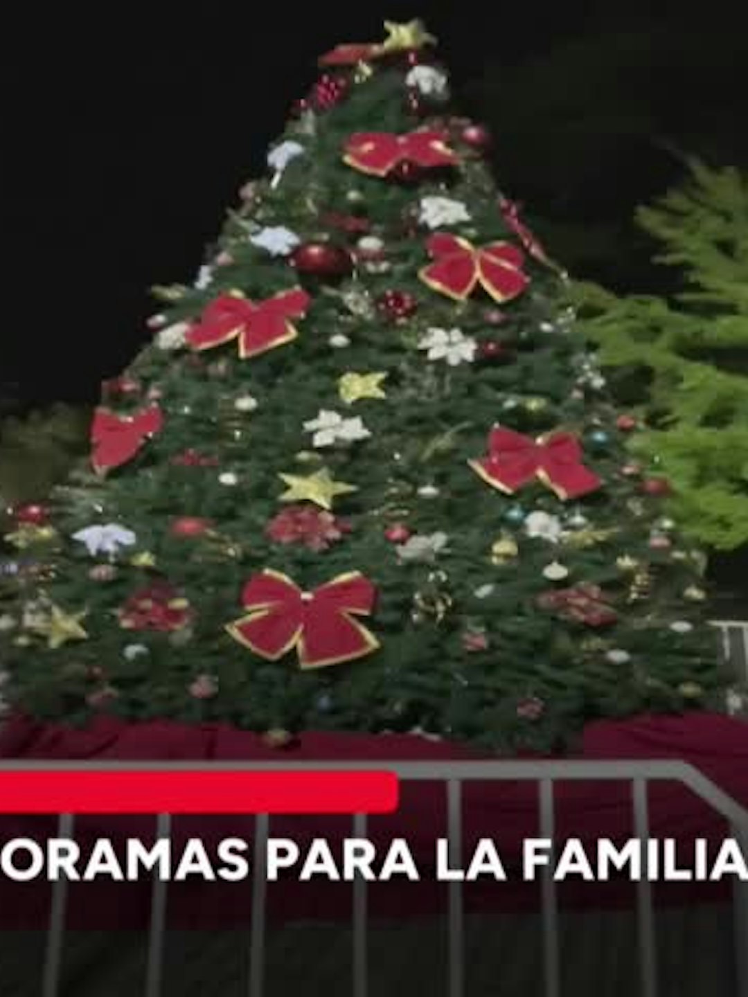 Se acerca la navidad y aumentan los panoramas en torno a esta fecha